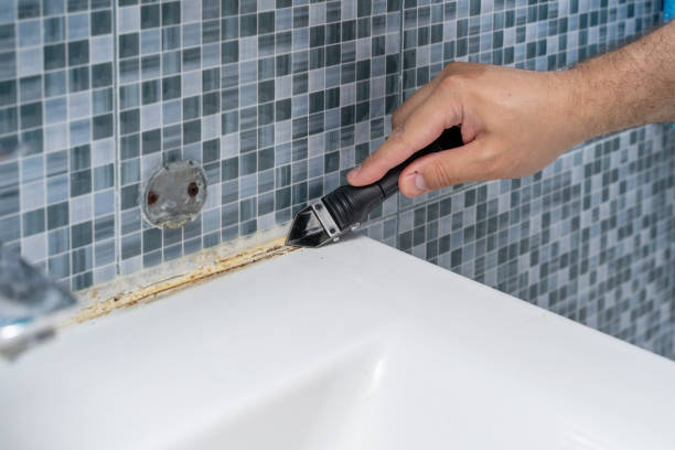 Best Mold Remediation Services  in Franklinville, NJ